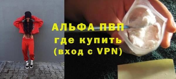 PSILOCYBIN Кукмор