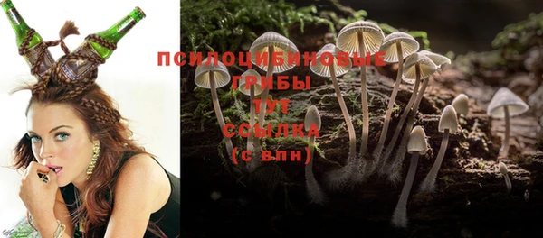 мяу мяу мука Куйбышев