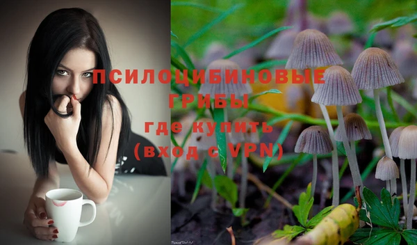 меф Пестово