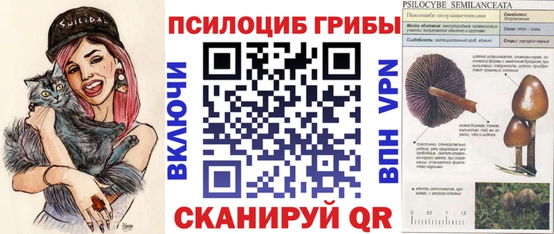 закладки  hydra ССЫЛКА  Псилоцибиновые грибы ЛСД  Жигулёвск 