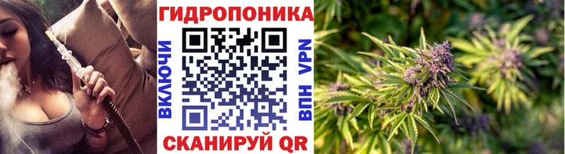 ссылка на мегу как войти  продажа наркотиков  Жигулёвск  Конопля конопля 